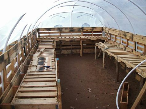 Greenhouse Using Pallets, Pallet Wood Greenhouse, Pallet Green House Diy, Pallet Homestead Projects, Pallet Greenhouse Diy, Greenhouse Pallet, Greenhouse And Chicken Coop, Building With Pallets, Pallet Greenhouse