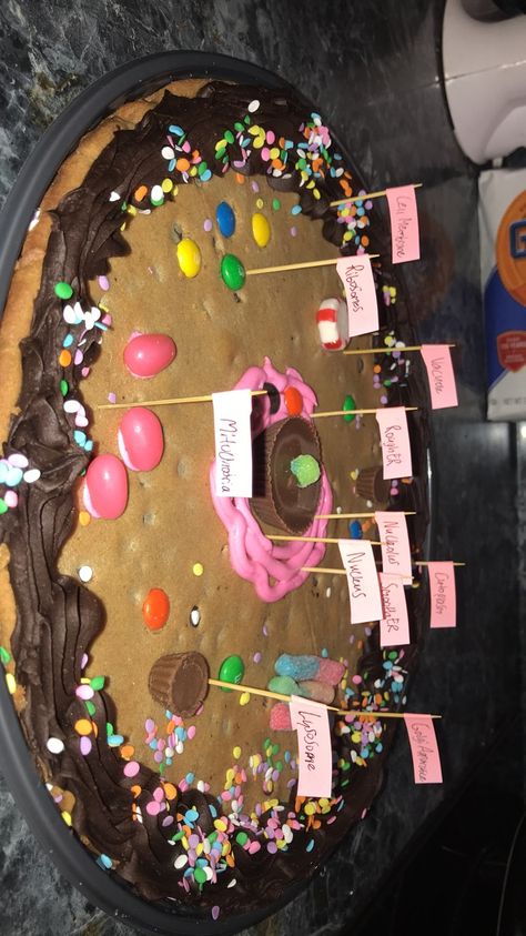 Cell Model Project Ideas Edible, Cell Models Project, Cell Replica Project, Science Cell Project Ideas, Edible Animal Cell Project Ideas, Animal Cell Project 3-d, Eukaryotic Cell Model, Animal Cell Project Ideas Models, Edible Plant Cell Project