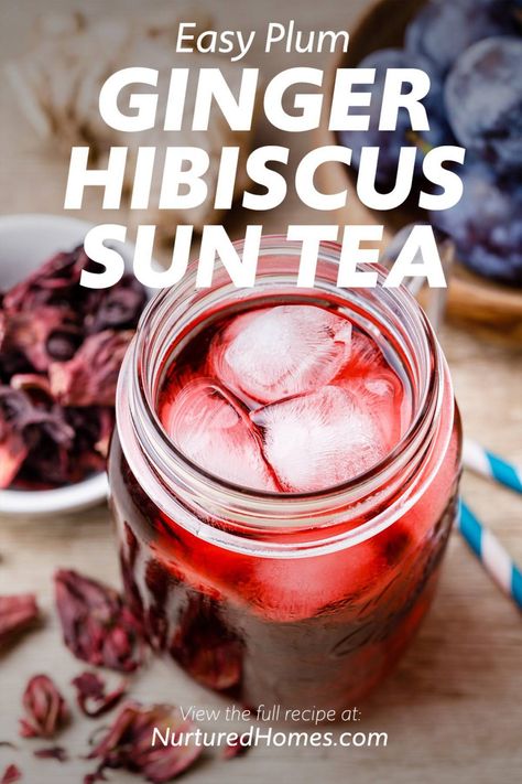 Sun Tea Recipe, Plum Recipe, Sun Tea Recipes, Hibiscus Recipe, Hibiscus Drink, Tea Blends Recipes, Tea Drink Recipes, Sun Tea, Homemade Tea