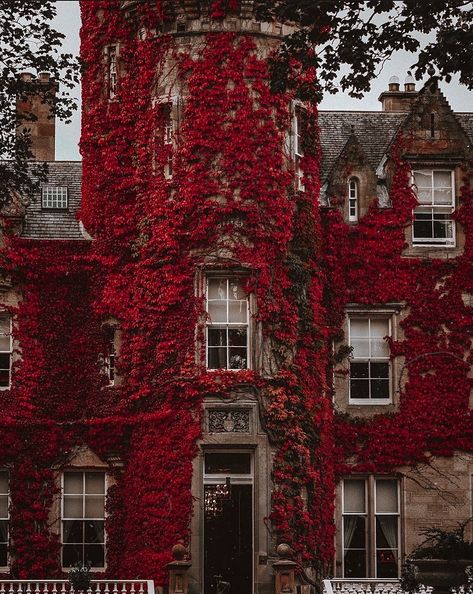 Dark Academia House Exterior, Academia Bedroom, Vampire Castle, Dream Dark, Dark Naturalism, Academia Aesthetics, Victorian Bedroom, Castle Aesthetic, Fantasy Setting