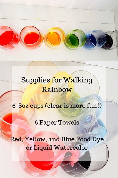 Rainbow Stem Preschool, Walking Rainbow Experiment, Rainbow Experiments, Rainbows Preschool, Elf Application, Experiment For Preschoolers, Stem Supplies, Colour Experiments, Chemistry Experiments For Kids