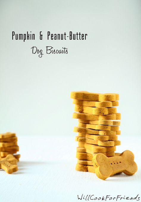 Pumpkin & Peanut Butter Dog Biscuits - tummy friendly treats Pancakes Birthday, Peanut Butter Dog Biscuits, Lou Dog, Pumpkin Peanut Butter, Homemade Pet Treats, Animal Treats, Doggy Treats, Pumpkin Treats, Butter Biscuits