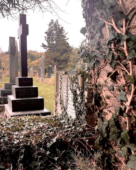 🖤 . . . . . #taphophile #graveyard #cemetery_photography #grave #cemeteryart #graveyardexploration #tomb #cemetery #tombstonetourist #cemeteries #taphophilia #cemeteriesofinstagram #cimetiere #cemeterios #tombstone #gravehunting #taphophilesofinstagram #aj_graveyards #project_necropolis #darktourist #tombstonetourist #historian Cemetery Photography, Cemeteries Photography, Cemetery Art, Tombstone, Graveyard, Cemetery, Hunting, Photography