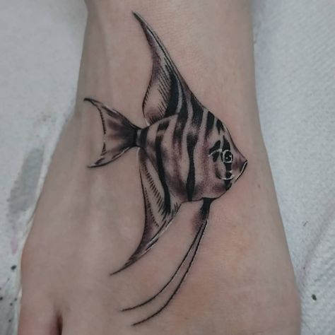 Angelfish Tattoo, Simple Angelfish Tattoo, Small Angelfish Tattoo, angelfish tattoo ideas, angelfish tattoo small, angelfish tattoo designs, angelfish tattoo on thigh, outline angelfish tattoo, angelfish tattoo behind ear, angelfish tattoo men, angelfish tattoo design, female angelfish tattoo, angelfish tattoo color, angelfish tattoo black, small fish tattoo,simple fish tattoo, big fish tattoo, black fish tattoo,traditional fish tattoo,fish girl drawing,chinese fish tattoo,tiger angelfish tattoo Chinese Fish Tattoo, Tropical Fish Tattoo, Angel Fish Tattoo, Angelfish Tattoo, Big Fish Tattoo, Black Fish Tattoo, Fish Tattoo Black, Simple Fish Tattoo, Small Fish Tattoo