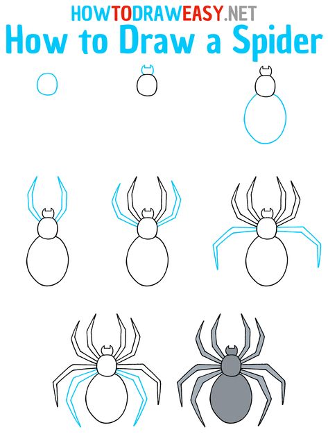 How to Draw a Spider Step by Step #Spider #SpiderDrawing #HowtoDrawEasy #HowtoDrawSpider #EasytoDrawaSpider #DrawingGuides #EasyDrawingGuides #SimpleDrawings #HowtoDrawaSpiderEasy #HowtoDrawanEasySpider #SpiderMan #Sketching #Animals Halloween Spider Drawing Easy, How To Sketch Spiderman, Spider How To Draw, Spidey Drawings Easy, How To Draw Cobwebs, Spiderman Step By Step Drawing, How To Draw Spider Webs, Drawing A Spider Web, How To Draw A Spider Easy