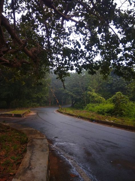 Jamshedpur Snap, Jamshedpur City, Bad Pic, Nature View, Avengers Infinity, West Bengal, Into The Woods, Uttar Pradesh, Background Design