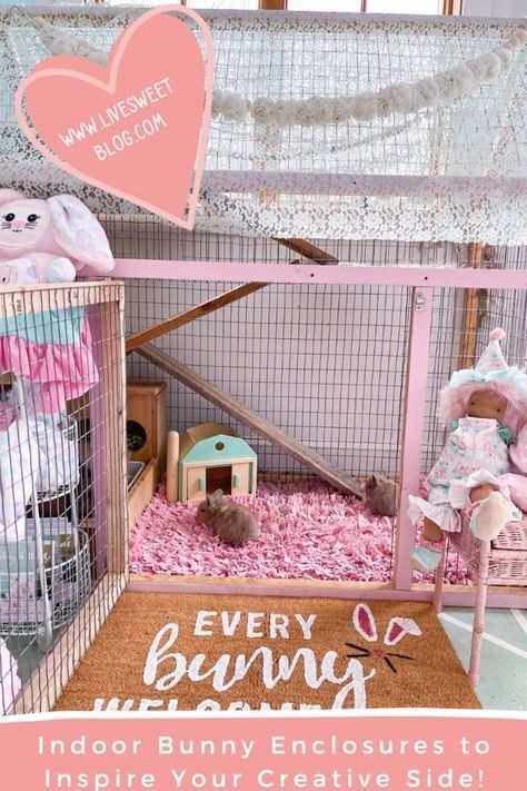 Bunny Enclosure Indoor, Bunny Enclosure, Indoor Bunny, Classroom Pets, Enclosure Ideas, Pet Bunny Rabbits, Bunny Party, Bunny House, Pet Bunny