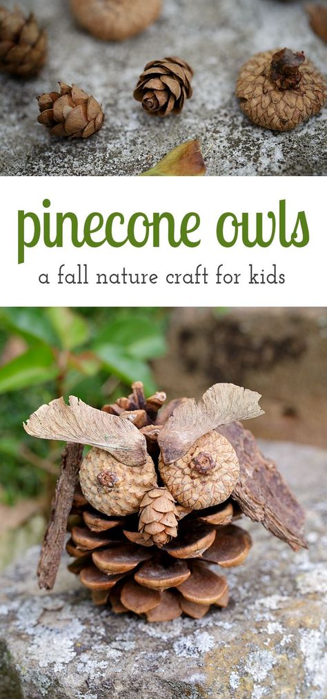 Fall is the perfect season for crafting! Kids will love being creative with acorns, pinecones, twigs, bark, and seeds to create one-of-a-kind Pinecone Owls. Pine Crafts, Nature Crafting, Season Craft, Pinecone Owls, Nature Craft, Fall Nature, Carte Halloween, Easy Fall Crafts, Cones Crafts