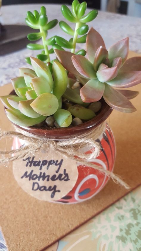 Happy Mother's day succulents in Mexican mug Mexican Mothers Day Gifts Diy, Mothers Day Succulent Gifts, Mother’s Day Pottery Ideas, Mexican Mothers Day Gifts, Mexican Mothers Day, Happy Mothers Day Sister, Mexican Mug, Mothers Day Plants, Mother's Day Games