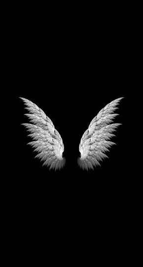 Dark Angel Wings, Cool Black Wallpaper, Whatsapp Background, Wings Wallpaper, Angel Wallpaper, तितली वॉलपेपर, Black Background Wallpaper, Black Phone Wallpaper, Whatsapp Wallpaper