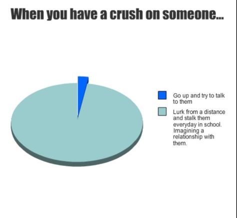 Stalking Your Crush, How To Stalk Your Crush, Crushing On Someone, Crush Memes, Ha Ha, Your Crush, Having A Crush, My Crush, Pie Chart