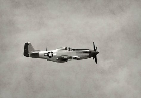 3,100+ World War 2 Fighter Planes Stock Photos, Pictures & Royalty-Free Images - iStock Ww2 Fighter Planes, Airplane Silhouette, Book Thief, Vintage Mustang, Wwii Airplane, Wwii Fighters, Supermarine Spitfire, Ww2 Planes, Air Raid