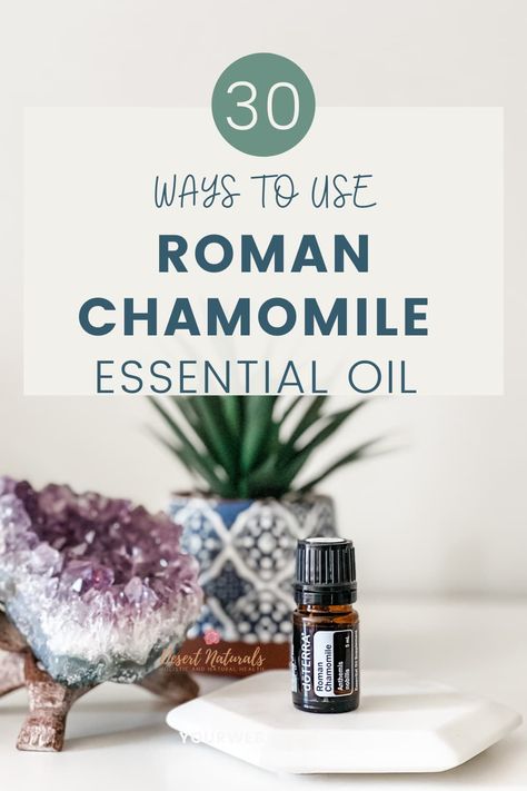 Snag a list of 30 ways to use Roman Chamomile essential oil. Plus learn about the emotional and physical benefits of Roman Chamomile. This essential oil is super calming and very popular. Not sure how to use it? this checklist is what you need. Roman Chamomile is very calming to both our body and our minds. Learn how to use this essential oil and get the max benefits from it. You'll also get access to diffuser blends, DIY recipes and roller ball recipes for Roman Chamomile essential oil. via Roman Chamomile Essential Oil Benefits, Chamomile Essential Oil Benefits, Roller Ball Recipes, Chamomile Recipes, Chamomile Tea Recipe, Roman Chamomile Essential Oil, Floral Essential Oils, Ball Recipes, Diy Essential Oil Recipes