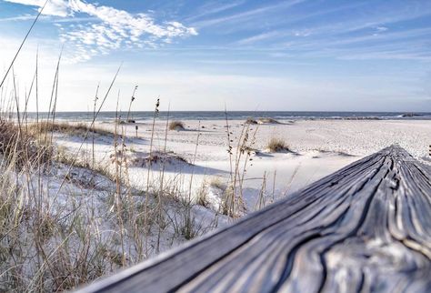 Mississippi Aesthetic, Biloxi Beach, Ocean Springs Mississippi, Flora Bama, Sparkle Bathroom, Ocean Springs Ms, Saint George Island, Alabama Beaches, St George Island