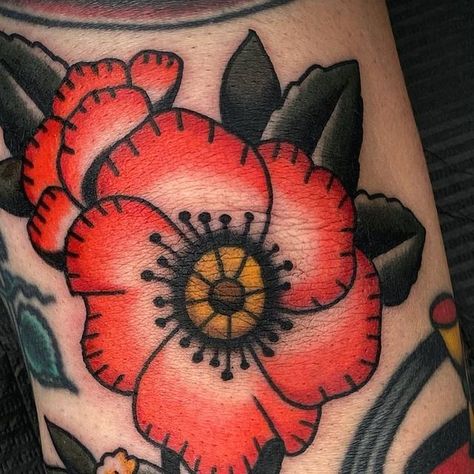 Tony Perez on Instagram: "Elbow Poppy   Drawn to fit." Old School Poppy Tattoo, Poppy Tattoo Traditional, Poppy Tattoo Men, Red Poppy Tattoo, Flower Reference, Poppy Tattoo, Poppies Tattoo, Tattoo Sleeve, American Traditional