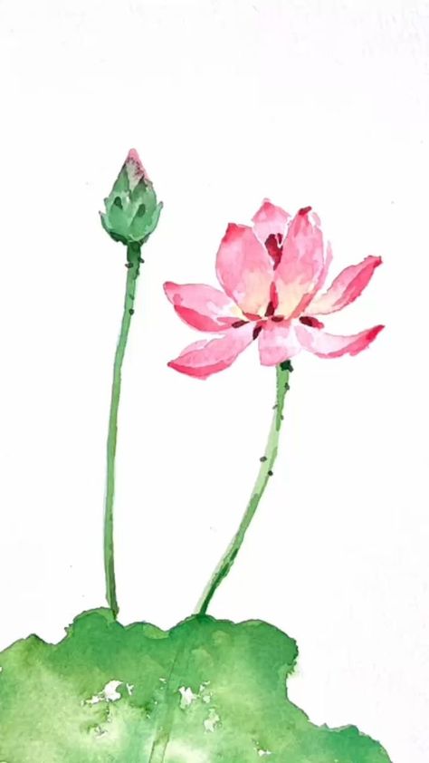 Let's paint a watercolor lotus flower #watercolorpainting #artwork #reels #lotus | LINDAartdiary | Christian Meditation Music · Moonlight Sonata Lotus Flower Painting Watercolors, Lotus Watercolor Painting, Lotus Flower Watercolor, Inspiring Drawings, Lotus Watercolor, Watercolor Painting Easy, Lotus Flower Painting, Water Lilies Painting, Watercolor Lotus