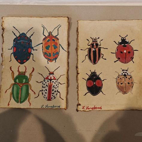 Adventures in gouache: Beetles Edition! I pulled out my gouache paint after months away from it, and fell in love all over again. I've been using it to paint these little insect studies and I can't stop. 🖌️🎨 They are painted on cold pressed cotton paper that absorbs the paint so beautifully. I've painted dragonflies, beetles, and moths. Looking forward to painting more . 🪲🐝🐞🦋 #insects #beautifulbeetles #autismfamily #utahartist #shoplocal #smallbusinessowner #painterly #miraculousladybu... Beatle Paintings Insect, Pol Gogen, Paint Pen Designs, Dragonfly Art Painting, Painted Dragonflies, Bug Paintings, Bug Painting, Beetle Painting, Insect Painting