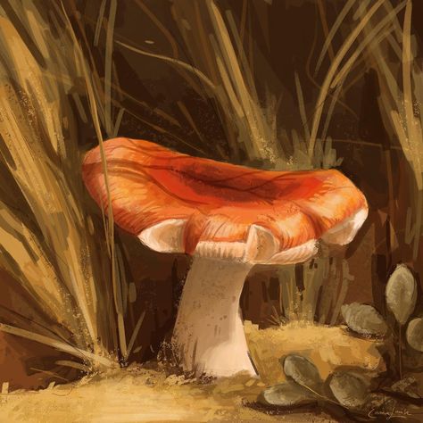 Emma Louise on Instagram: “Study of a mushroom in sunlight. Swipe for my reference. I’m really excited about this piece! I think it’s a step in my understanding of…” Art Phone Wallpaper, Boho Mushroom, Mushroom Painting, Orange Mushroom, Ipad Background, Food Painting, Mushroom Decor, Mushroom Art, Room Inspiration Bedroom