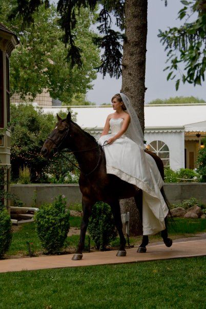 This is my dream... to ride down the aisle at my wedding on my own horse! Horse At Wedding The Bride, Horse Wedding Entrance, Bride Riding Horse, Riding Horse Down The Aisle, Horse Riding Wedding, Wedding Ideas Horses, Bride Riding Horse Down Aisle, Horses At Weddings, Horse At Wedding