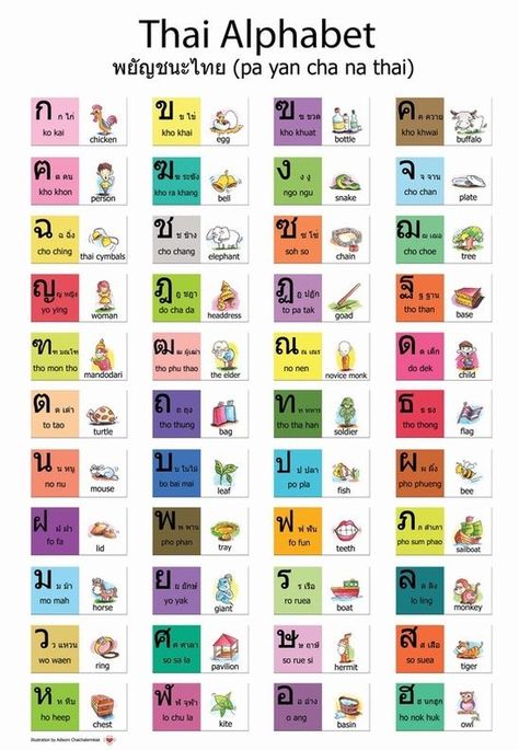 The Thai Alphabet for beginning learners - Pattaya Unplugged Thailand Alphabet, Thai Language Learning, Thai Symbols, Thai Learning, Language Learning Books, Thai Script, Thai Phrases, Thailand Language, Thai Alphabet