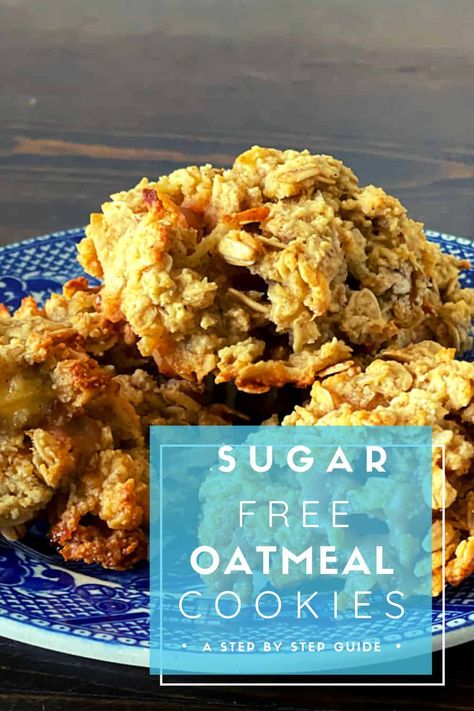 Sugar Free Oatmeal Cookies can satisfy that yearning for the good old fashioned comfort cookie without any added sugar. We add sugar free butterscotch morsels to ours for more homemade goodness. Old Fashion Oatmeal Cookies Quaker, No Sugar No Flour Cookies, Sugar Free Cookies For Diabetics, No Sugar Oatmeal Cookies, No Sugar Cookies, Quaker Oatmeal Cookies, Oatmeal Cookies No Flour, Sugarless Cookies, Sugar Free Oatmeal Cookies