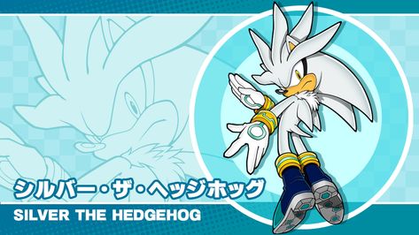 Sonic Channel Gallery, Sonic Channel, Big The Cat, Knuckles The Echidna, Character Bio, Rouge The Bat, Sonic Heroes, Silver The Hedgehog, Sonic Fan Characters