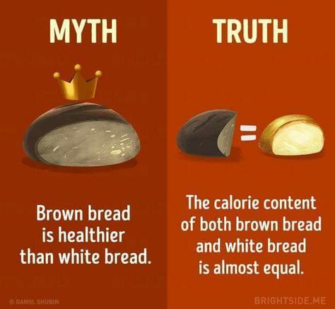 Myth and truth about bread Food Myths, Diet Myths, Interesting Facts About World, Amazing Science Facts, Psychology Fun Facts, Unbelievable Facts, Surprising Facts, Science Facts, Food Facts