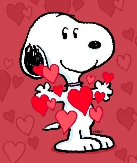 Snoopy Valentines, Snoopy Valentine's Day, Charlie Brown Quotes, Snoopy Valentine, Valentines Day Drawing, Snoopy Comics, Snoopy Dog, Valentine Picture, Peanut Gang