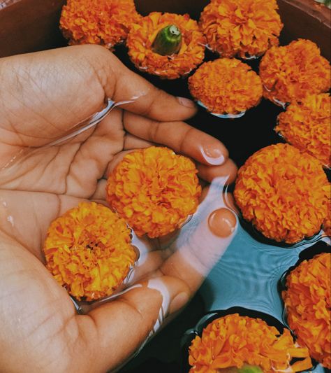 #Aesthetic #pictures #marigolds #flowers #hands Marigold Aesthetic Wallpaper, Aesthetic Marigold, Aesthetic Flower Tattoo, Nails Acrylic Flowers, Winter Flowering Plants, Tattoo Design Flower, Winter Gardening, Wallpaper Flower, Flower Nail Designs