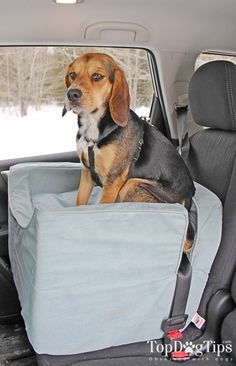 Car Seats For Dogs, Puppy Car Seat, Dog Car Booster Seat, Pet Booster Seat, Dog Hammock For Car, Best Car Seats, Dogs Training, Dog Seat, Dog Car Seat Cover