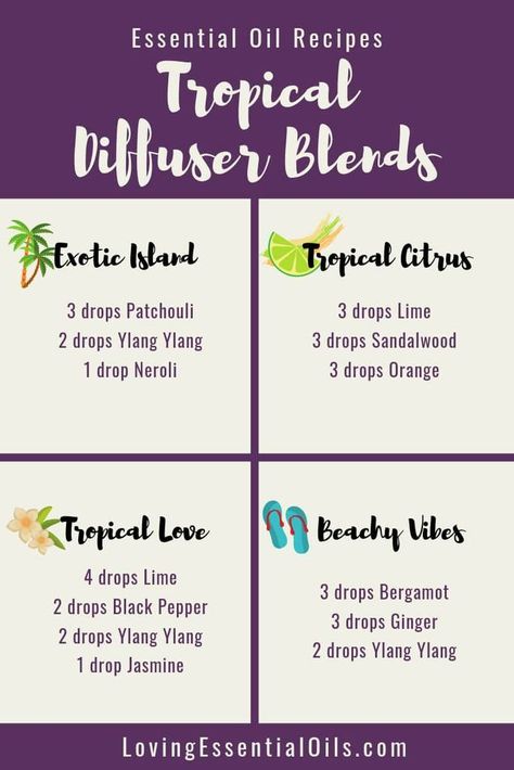 Tropical Essential Oils with Diffuser Blends by Loving Essential Oils | Learn more about essential oils with a tropcial scent and get more diffuser blends recipes. #lovingessentialoils #tropicalessentialoils #diffuserrecipes Tropical Scents Essential Oils, Tropical Essential Oil Blend, Tangerine Essential Oil, Neroli Essential Oil, Essential Oil Diffuser Blends Recipes, Diy Perfume, Essential Oil Diffuser Recipes, Oil Diffuser Recipes, Citrus Essential Oil