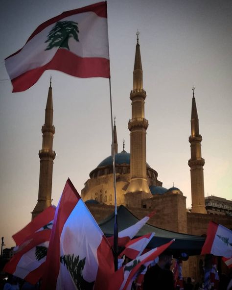 Lebanese By Nature on Instagram: “#OctoberRevolution #Time for #old #leaves to #fall and #new ones to #bloom . . #lebanon #lebaneseflag #Revolution #lebaneserevolution…” Peace For Lebanon, Lebanon Quotes, Lebanese Culture, Lebanon Culture, Lebanese Flag, Middle East Culture, Lebanon Flag, Muslim Countries, Best Profile Pictures