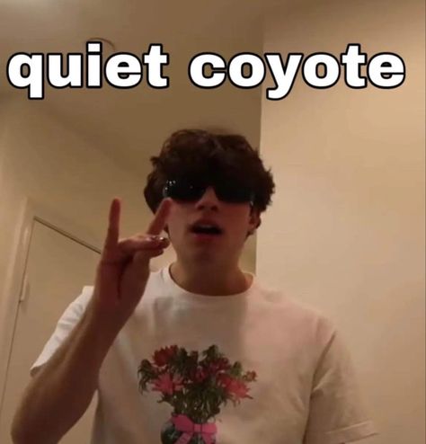 Quiet Coyote, Triplet Quotes, Triplet Babies, Nick Sturniolo, Fangirl Problems, Most Beautiful People, Sam And Colby, Triple Threat, Best Youtubers