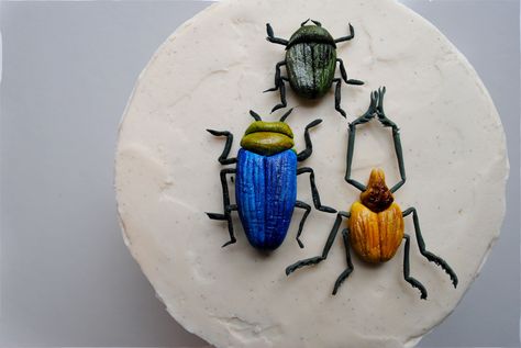 vegan vanilla cake with raspberry filling topped with handmade gumpaste beetles || Scratch Bakeshop Fondant Insects, Fondant Bugs, Vanilla Cake With Raspberry Filling, Beetle Cake, Easy Birthday Treats, Witches Birthday, Vanilla Cake With Raspberry, Bug Birthday Cakes, Bug Food