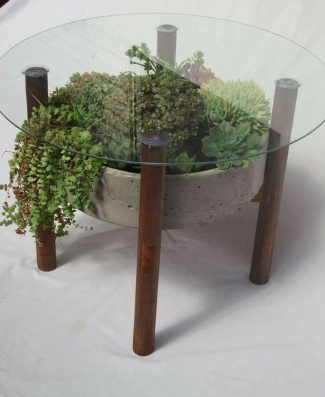 Terrarium Table, Plant Workshop, Plant Rack, Wood Deco, Succulent Garden Design, Plant Pot Diy, Home Design Diy, Plant Table, Ideas Casa