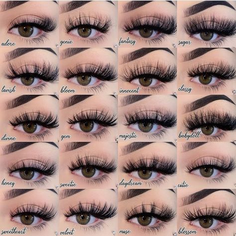 Names For Lashes, Lash Names For Eyelashes Business, Lash Names For Eyelashes, Arthur Nery, Lash Names, Wet Makeup, Wholesale Usa, Best Eyelashes, Lashes Vendors