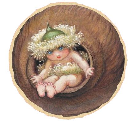 Gumnut Baby, Gumnut Babies, May Gibbs, Floating World, Gum Trees, Wee Folk, Book Week Costume, Australian Flora, Flower Fairies