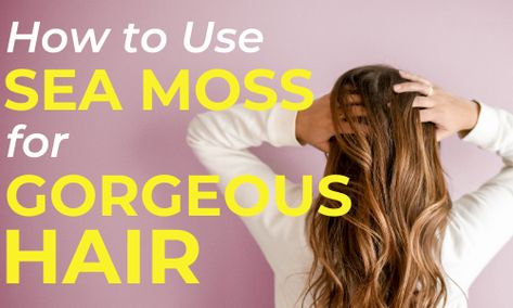 Sea Moss For Hair Growth, Sea Moss Benefits For Hair, Sea Moss Hair Mask, Seamoss Benefits For Women, Sea Moss Benefits For Women, Sea Moss Benefits, Haircare Natural, Strong Healthy Hair, Regrow Vegetables