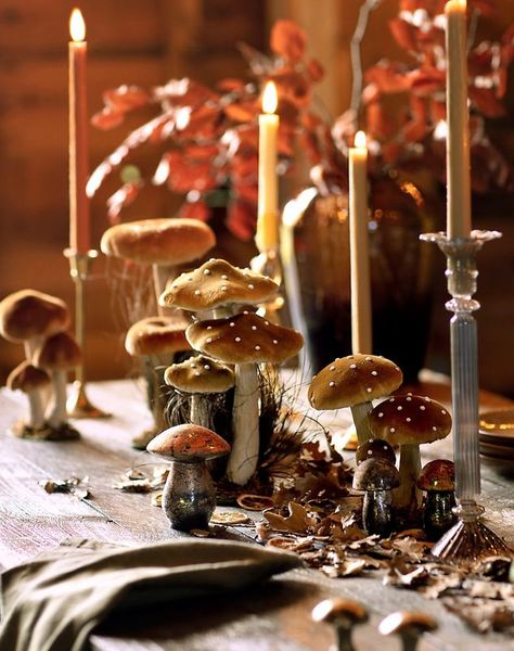 Velvet Mushrooms, Mushroom Decor, Fall Table, The Velvet, Samhain, Decoration Table, Fall Halloween, Sales Gifts, Party Time