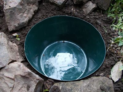 Allotment Pond Ideas, Wildlife Water Feature, Small Yard Ponds Ideas, Mini Garden Pond Ideas, Small Garden Ponds Ideas Diy, Mini Wildlife Pond, Small Wildlife Pond Ideas, Allotment Pond, Micro Pond