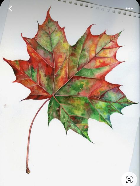 Drawing Maple Leaves, Tree Leaves Painting, Fall Leaf Drawing, Autumn Leaves Painting, Maple Leaf Drawing, Fall Leaves Drawing, Watercolor Autumn Leaves, Fall Drawings, Fall Canvas Painting