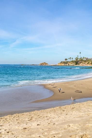 23 Best Beaches in Orange County Thousand Steps Beach, Orange County Beaches, Beach Bike, Pacific Coast Highway, Tide Pools, North Beach, Dog Beach, San Clemente, Best Beaches