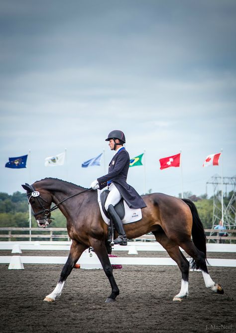 Boyd Martin, Dressage Photography, Horse Rider Outfit, Different Horse Breeds, Horse Riding Aesthetic, Equestrian Dressage, Akhal Teke Horses, Warmblood Horses, Beautiful Horse Pictures