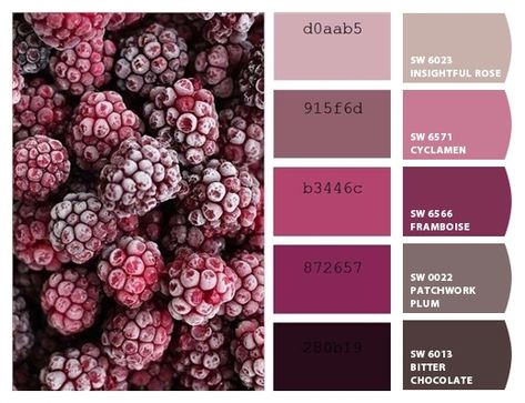 Christmas Color Palette, Color Schemes Colour Palettes, Favorite Paint Colors, Paint Color Palettes, Design Seeds, Color Palette Design, Color Balance, Color Swatch, Color Textures