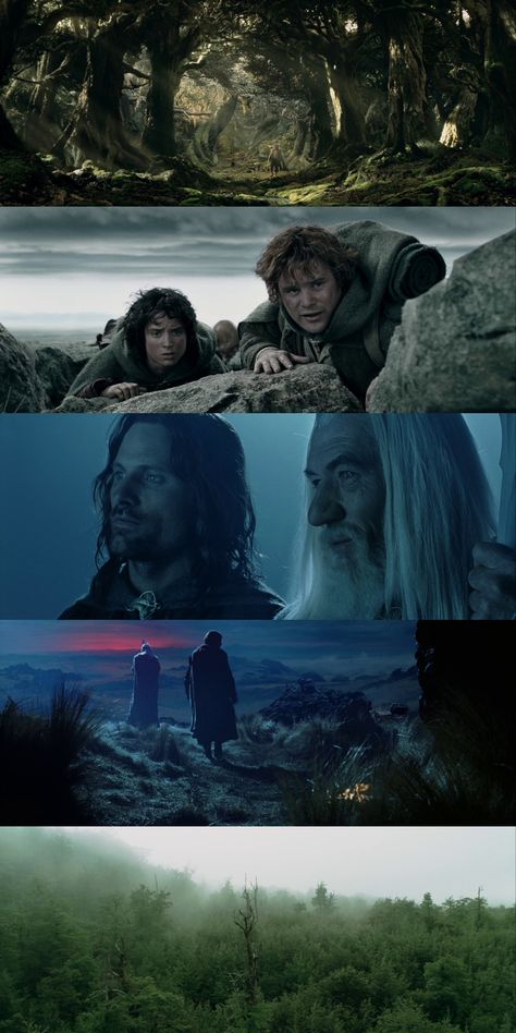 Lord Of The Rings Movie Stills, Lotr Cinematography, Lord Of The Rings Cinematography, Movie Screenshots Cinematography, Fantasy Cinematography, Film Stills Cinematography Scene, Movie Stills Aesthetic, Movie Composition, Cinematic Frames