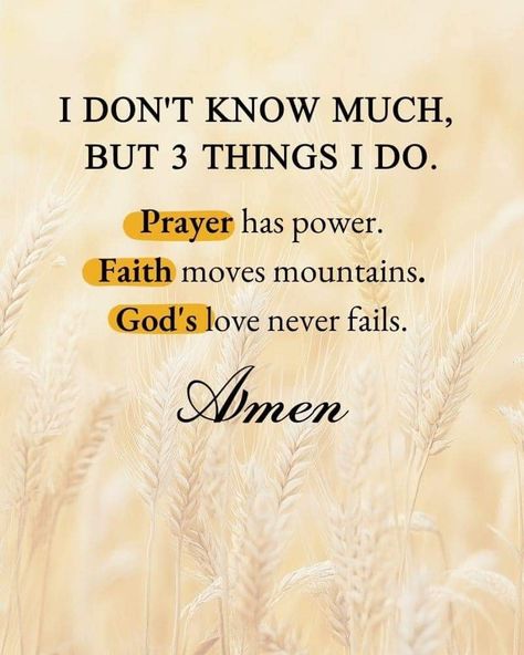 Blessed Evening, Adoption Signs, Gods Love Quotes, Christian Quotes Prayer, Christian Quotes God, Affirmations For Happiness, Faith Love, Walk On Water, Christian Bible Quotes