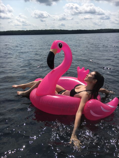 Flamingo Floatie Aesthetic, Woman In Pool Floatie, Flamingo Floaties, Beach Floats, Flamingo Pool Float, Flamingo Float, Pool Poses, Flamingo Pool, Pool Floaties