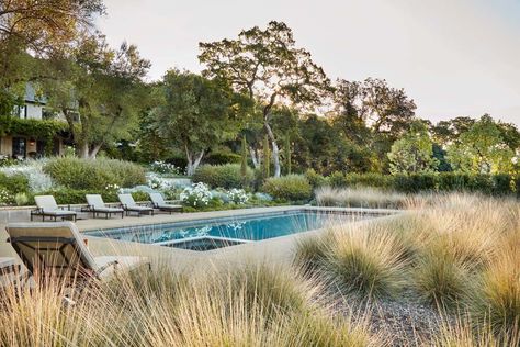 Modern Classic Estate — Lucas Lucas Landscape Edit, Ranch Garden, Country Pool, France House, Grassy Meadow, Gravel Patio, California Modern, Hidden Hills, Country Modern