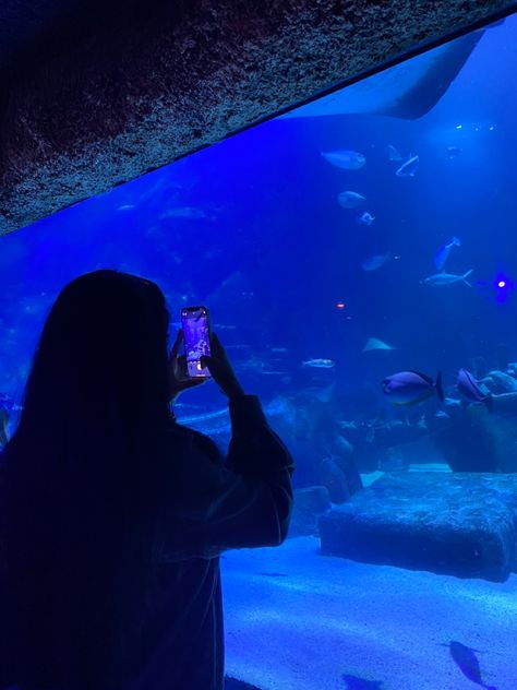 London Aquarium, Sea Life Centre, Aquarium Photos, Aquarium Pictures, The Weeknd Poster, Ocean Girl, Water Aesthetic, Cute Friend Photos, Cinematic Photography