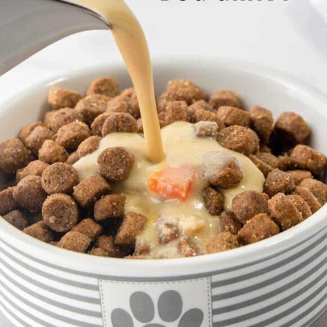 Easy, Healthy Homemade Dog Gravy Recipe for Picky Eaters | K.D. Lewis | NewsBreak Original Gravy For Dogs, Dog Gravy Recipe, Recipe For Picky Eaters, Dog Gravy, Healthy Gravy, Wholesome Dog, How To Make Gravy, Chicken Gravy, Food Topper